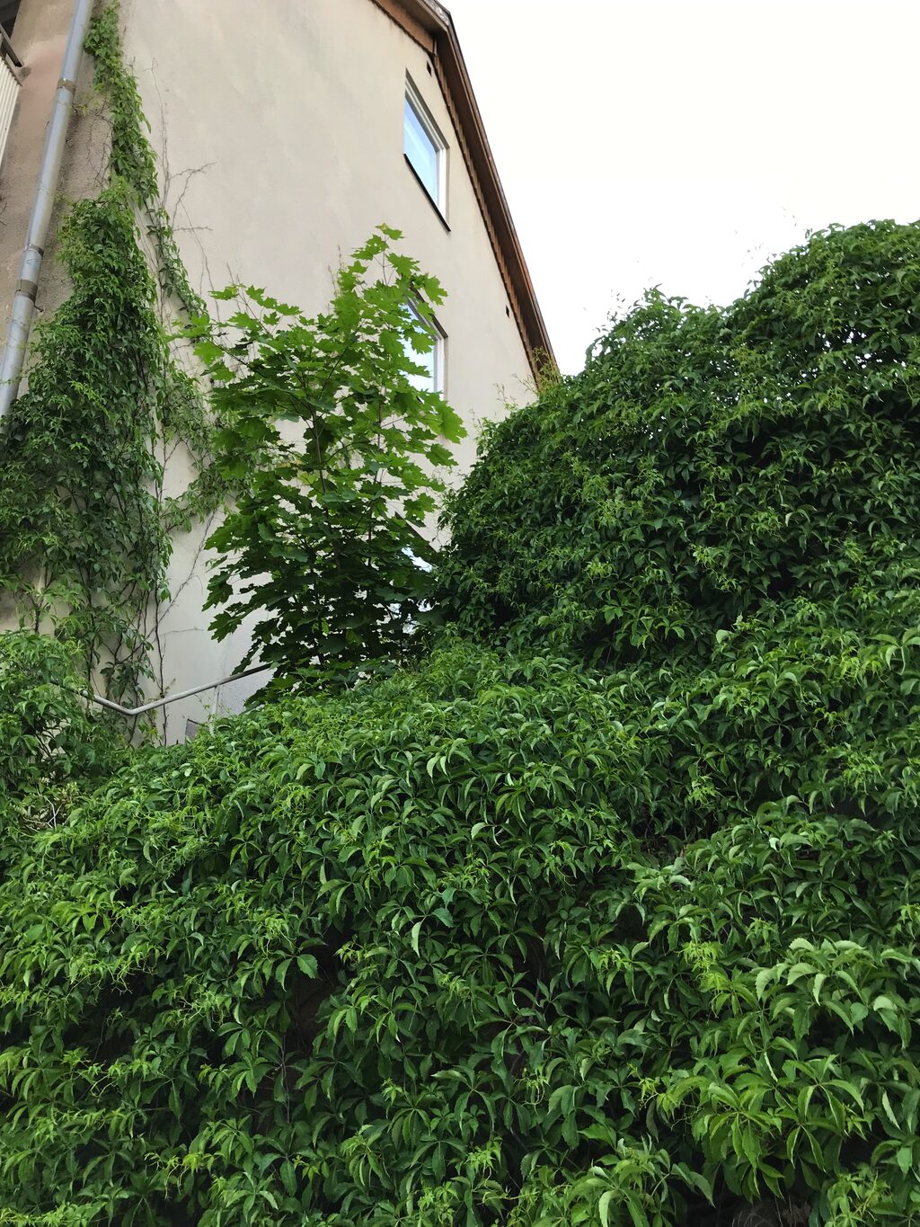 Lägenhetsbyte - Badstrandsvägen 14