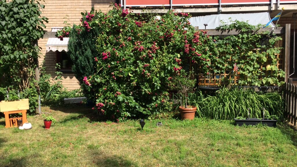 Lägenhetsbyte - Repslagargatan 1B