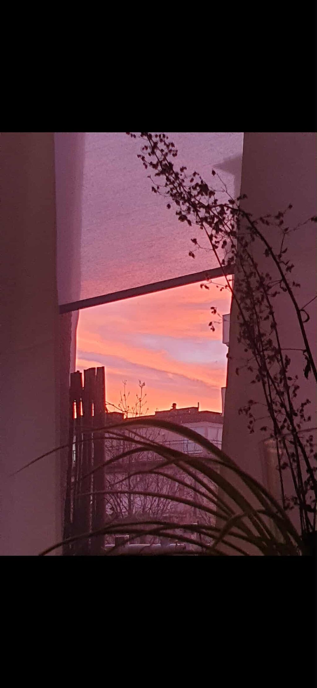 Lägenhetsbyte - Stagneliusvägen