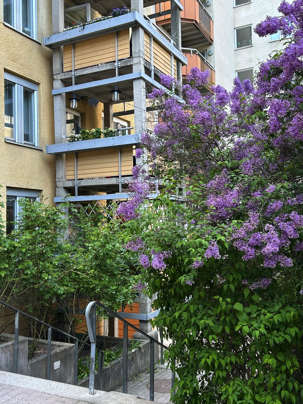 Lägenhetsbyte - Rosenlundsgatan 46A
