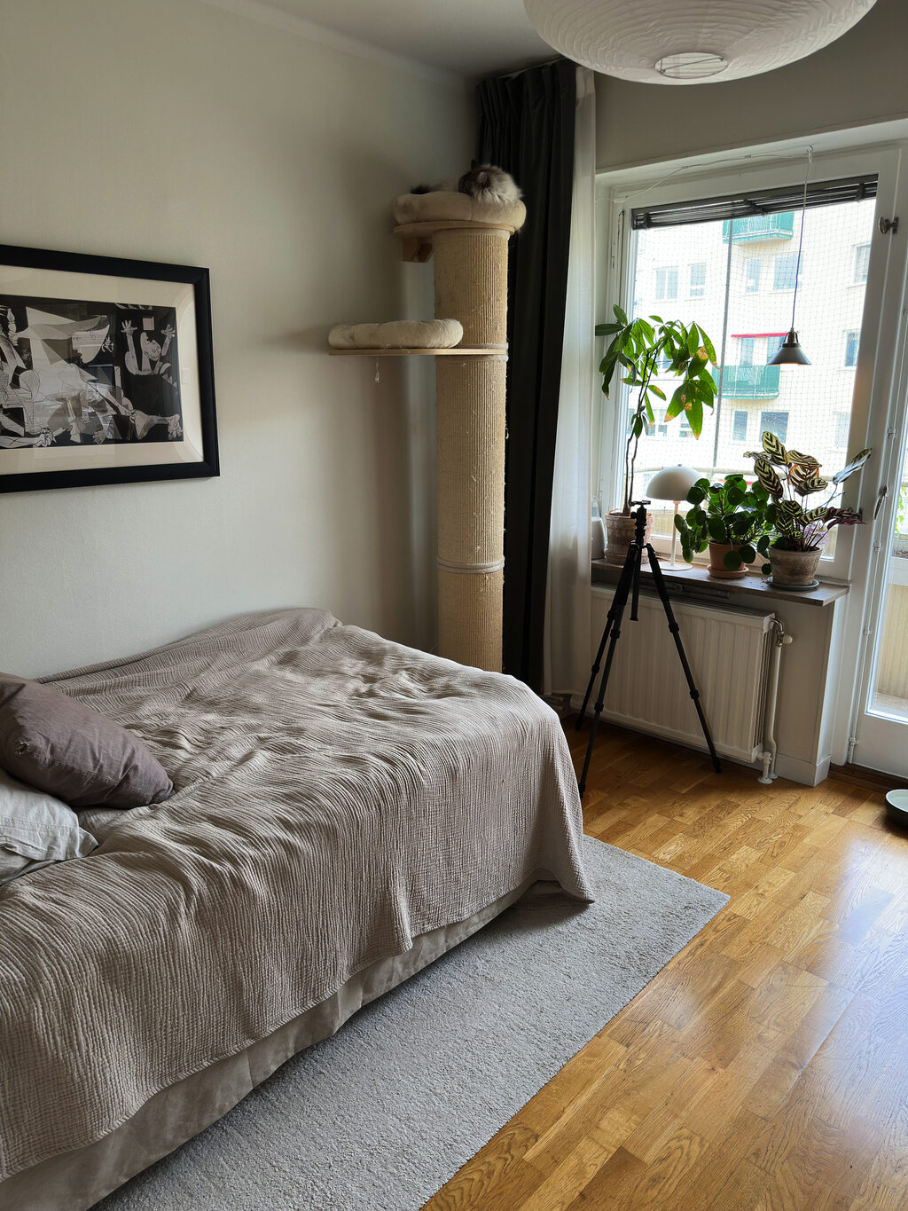 Lägenhetsbyte - Rindögatan 6