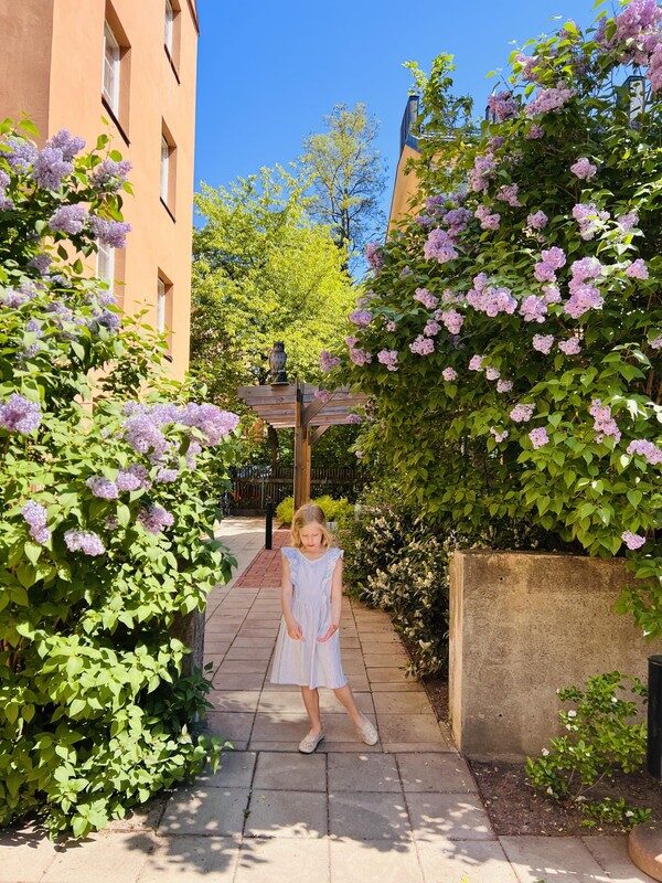 Lägenhetsbyte - Åsögatan 136