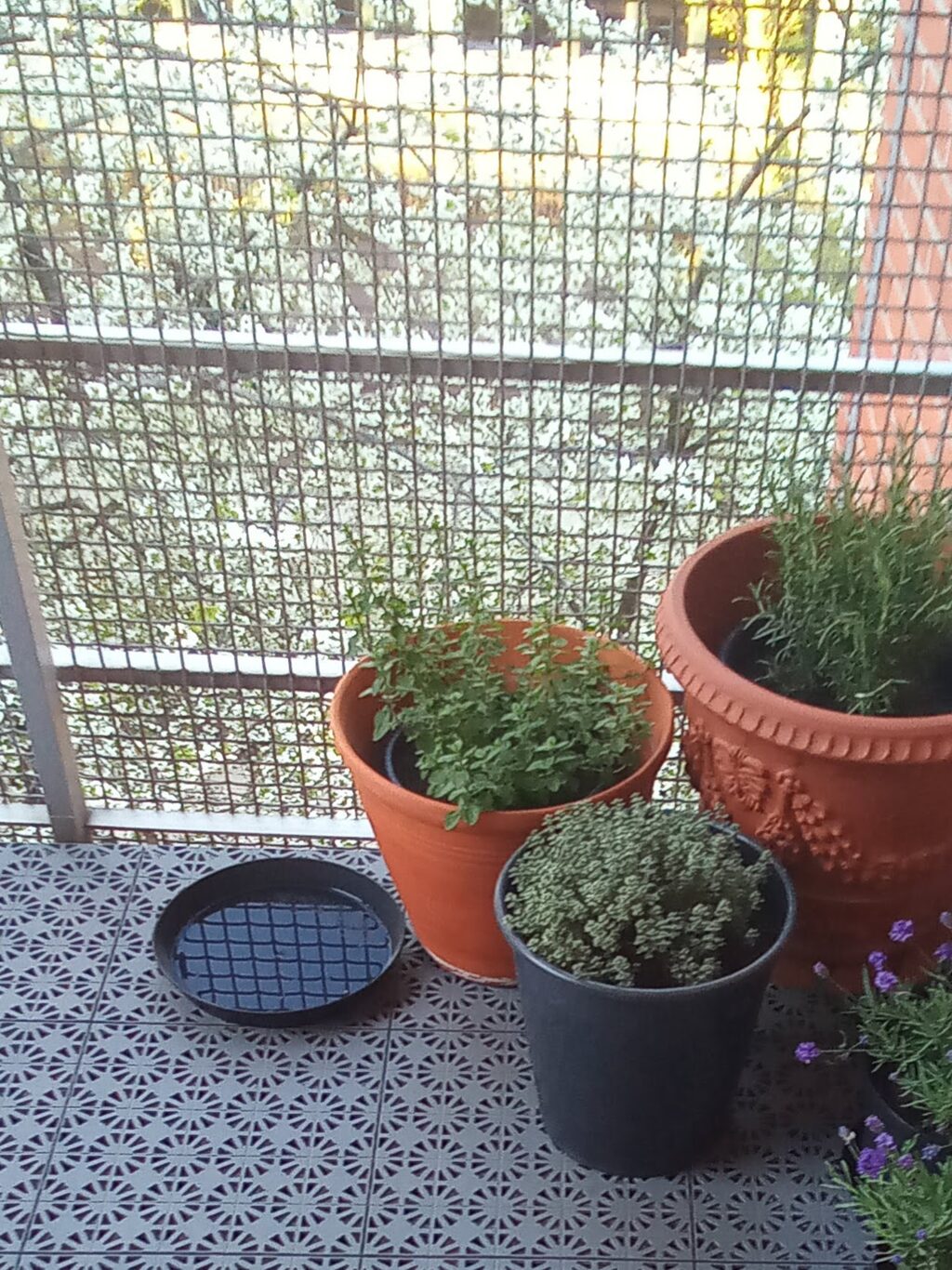 Lägenhetsbyte - Sköldgatan 10