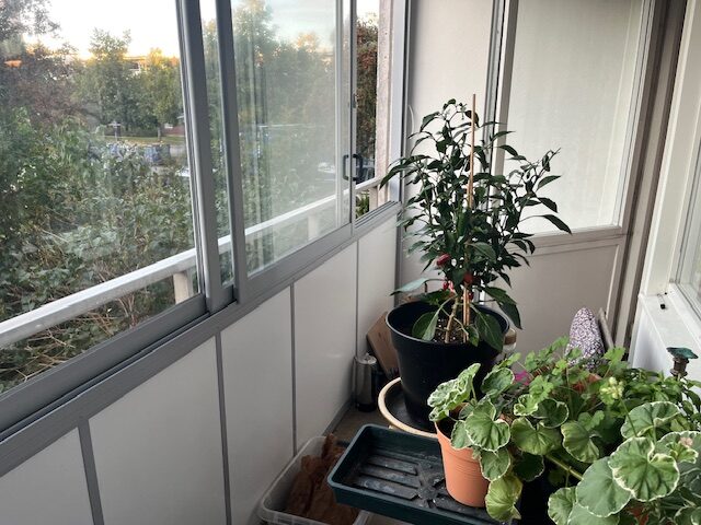 Lägenhetsbyte - Byälvsvägen 36