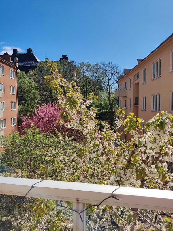 Lägenhetsbyte - Baltzar von Platens gata 13