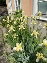 Lägenhetsbyte - Bondegatan 82