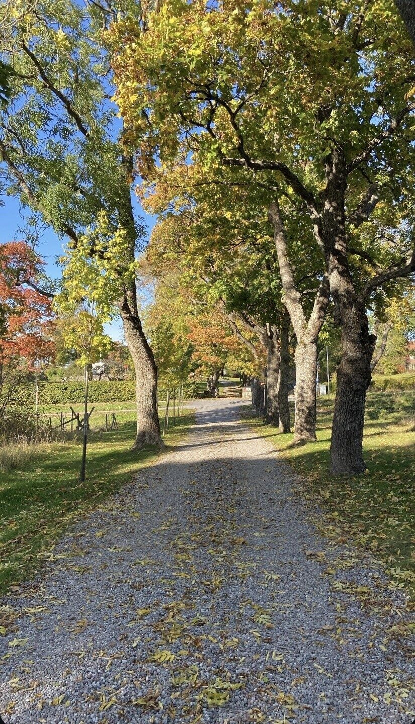 Lägenhetsbyte - Slånbärsvägen 14