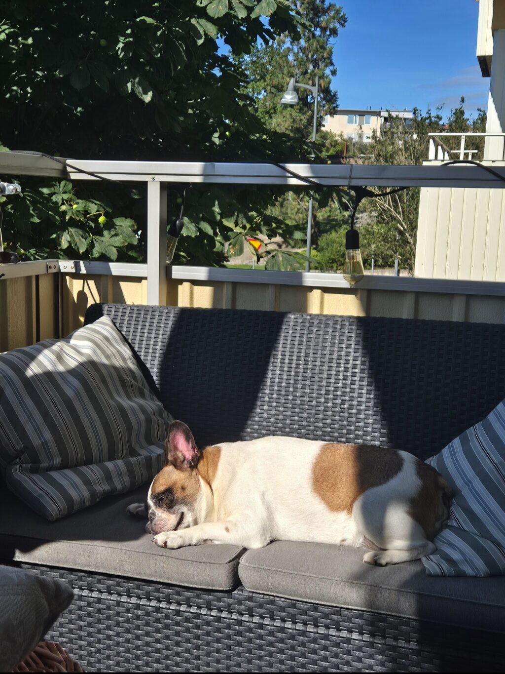 Lägenhetsbyte - Fredsgatan 20