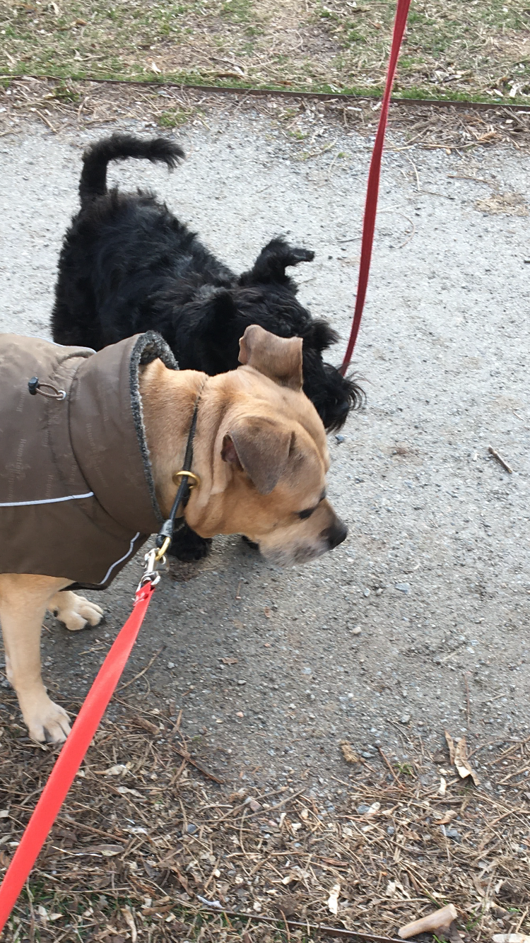 Lägenhetsbyte - Karlavägen 21