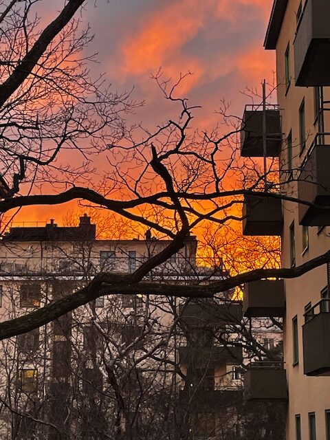 Lägenhetsbyte - Stagneliusvägen 31