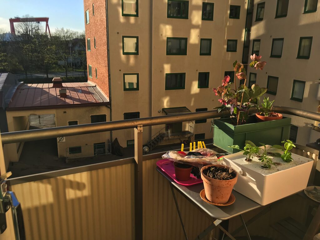 Lägenhetsbyte - Karl Johansgatan 55
