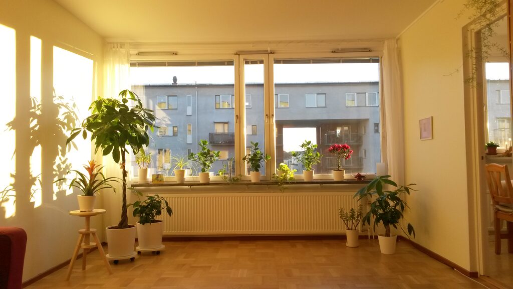 Lägenhetsbyte - Barnängsgatan 40