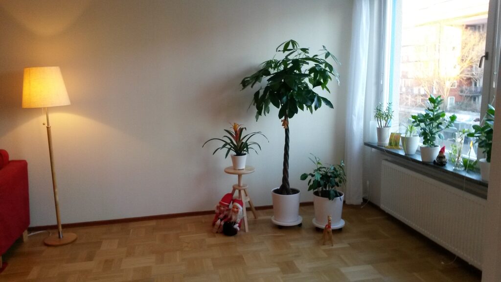Lägenhetsbyte - Barnängsgatan 40