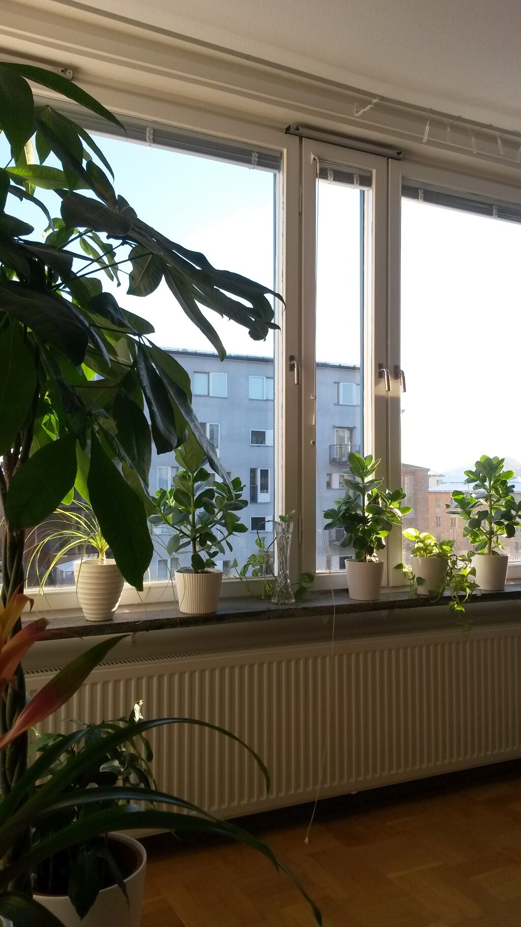 Lägenhetsbyte - Barnängsgatan 40