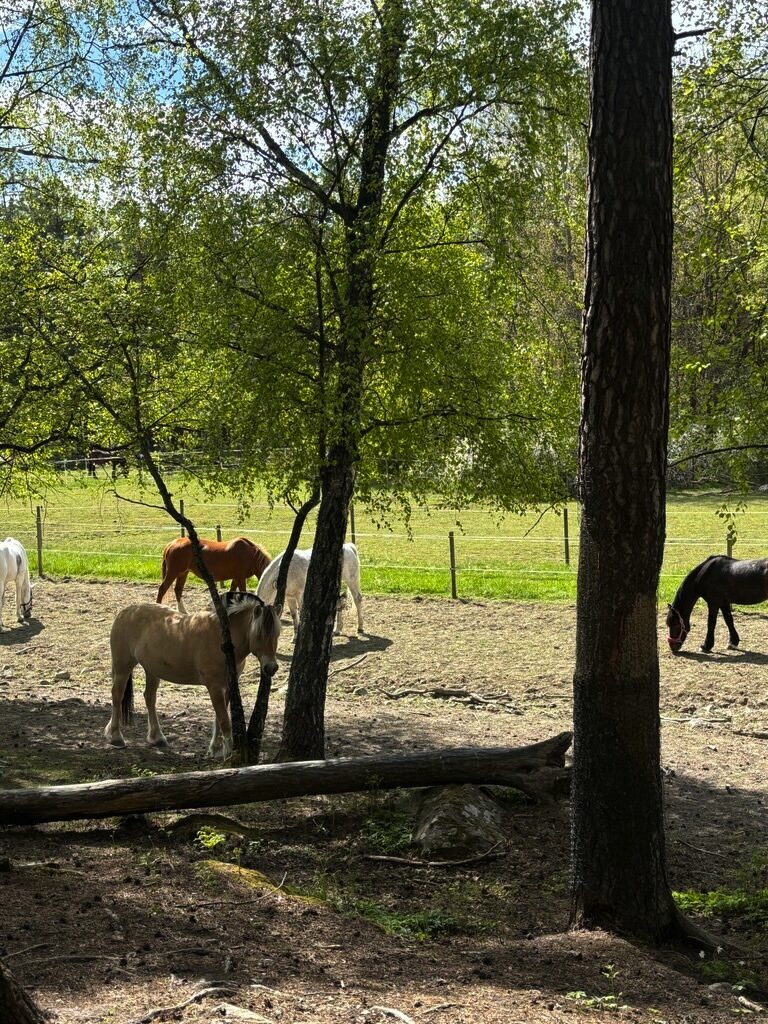 Lägenhetsbyte - Gamla Enköpingsvägen 134