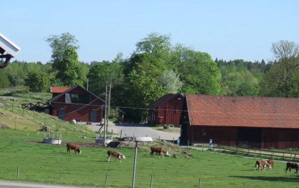 Lägenhetsbyte - Björnmossegången 31