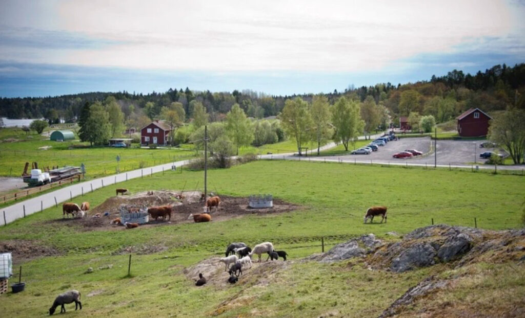 Lägenhetsbyte - Björnmossegången 31