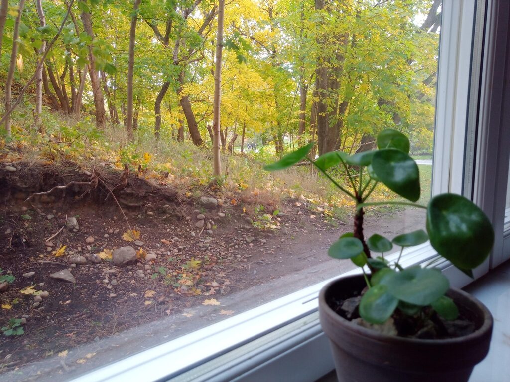 Lägenhetsbyte - Pastellvägen 3