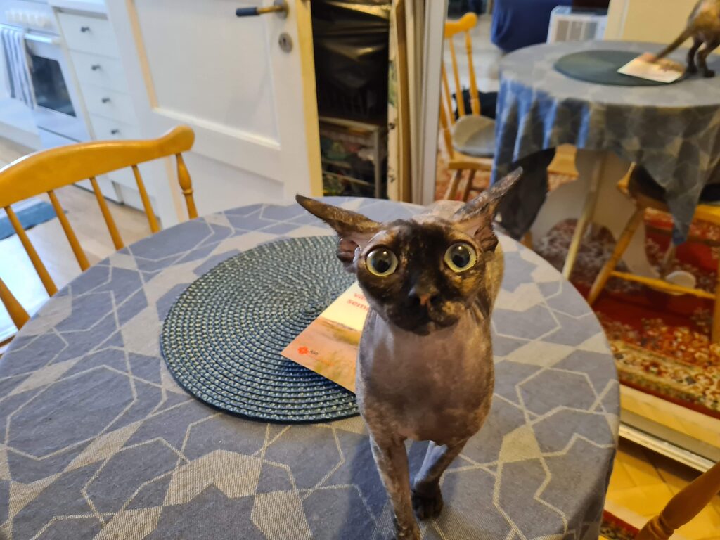 Lägenhetsbyte - Renstiernas gata 29