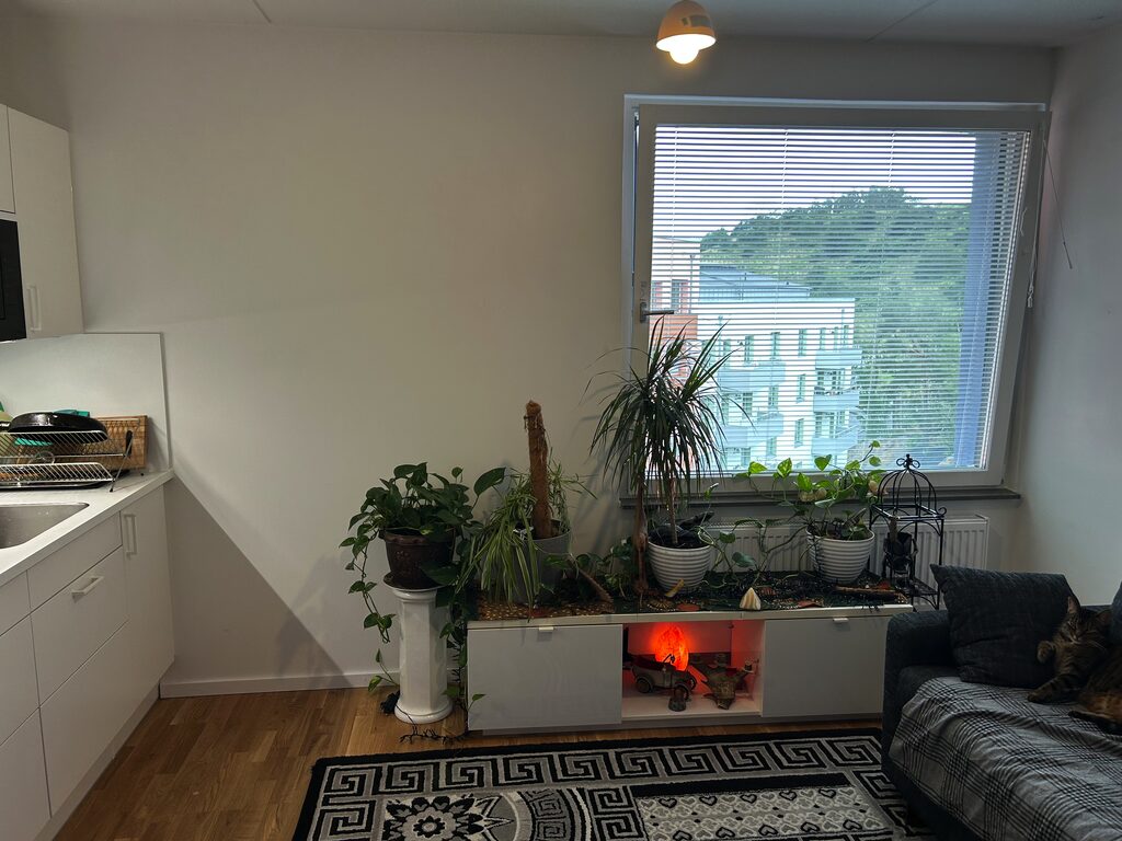 Lägenhetsbyte - Viggholmsvägen 4