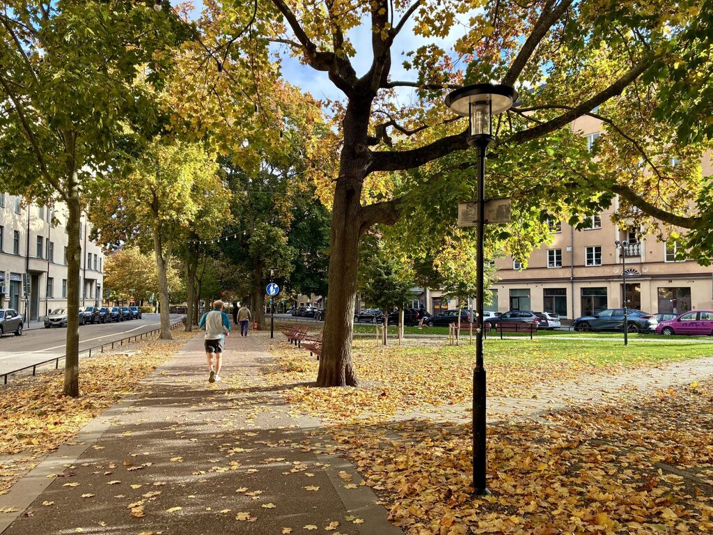 Lägenhetsbyte - Katarina Bangata 44