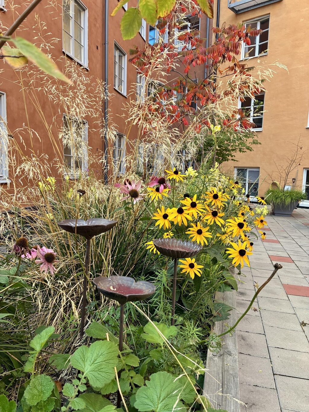 Lägenhetsbyte - Katarina Bangata 44