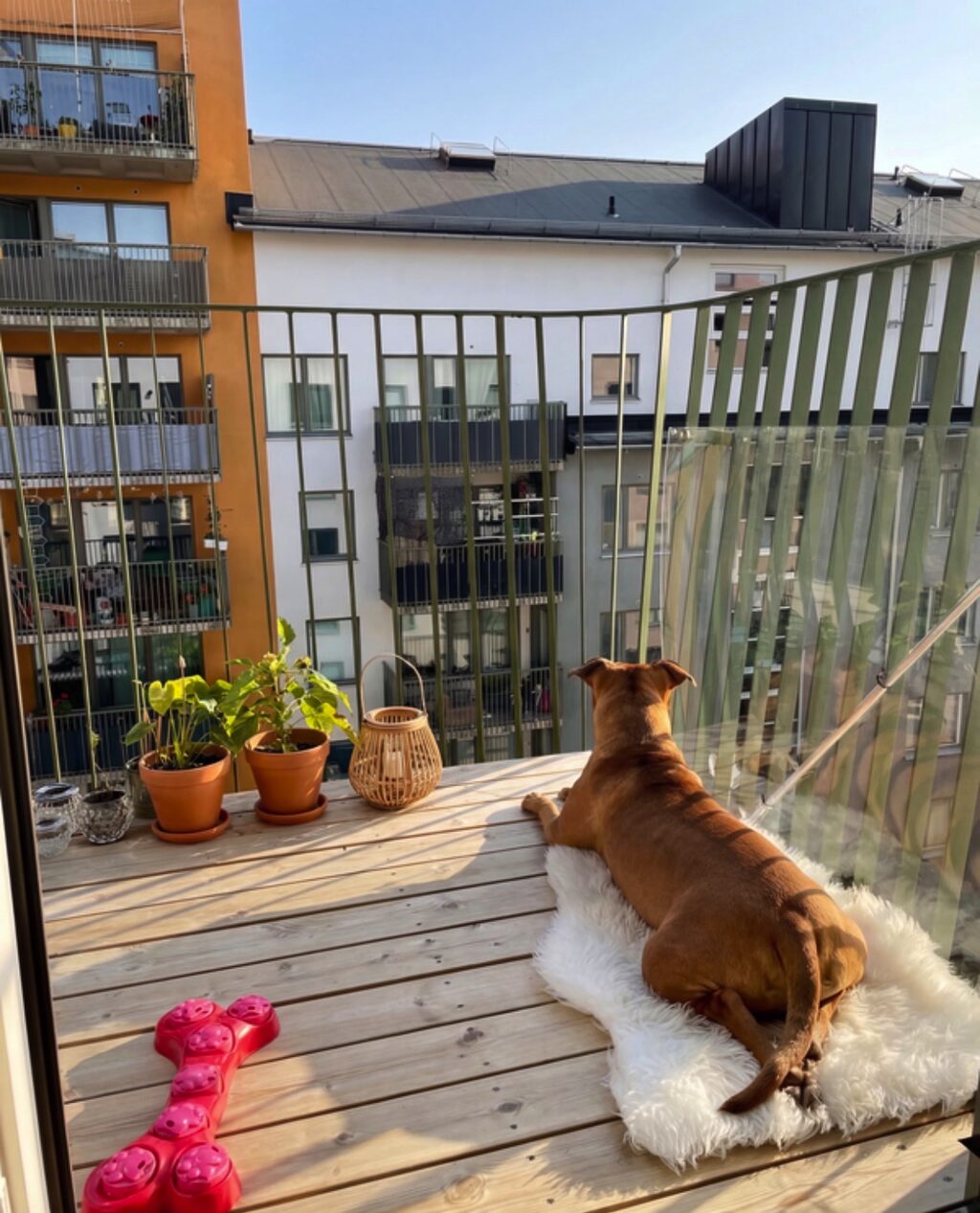 Lägenhetsbyte - Mönstringsvägen 13