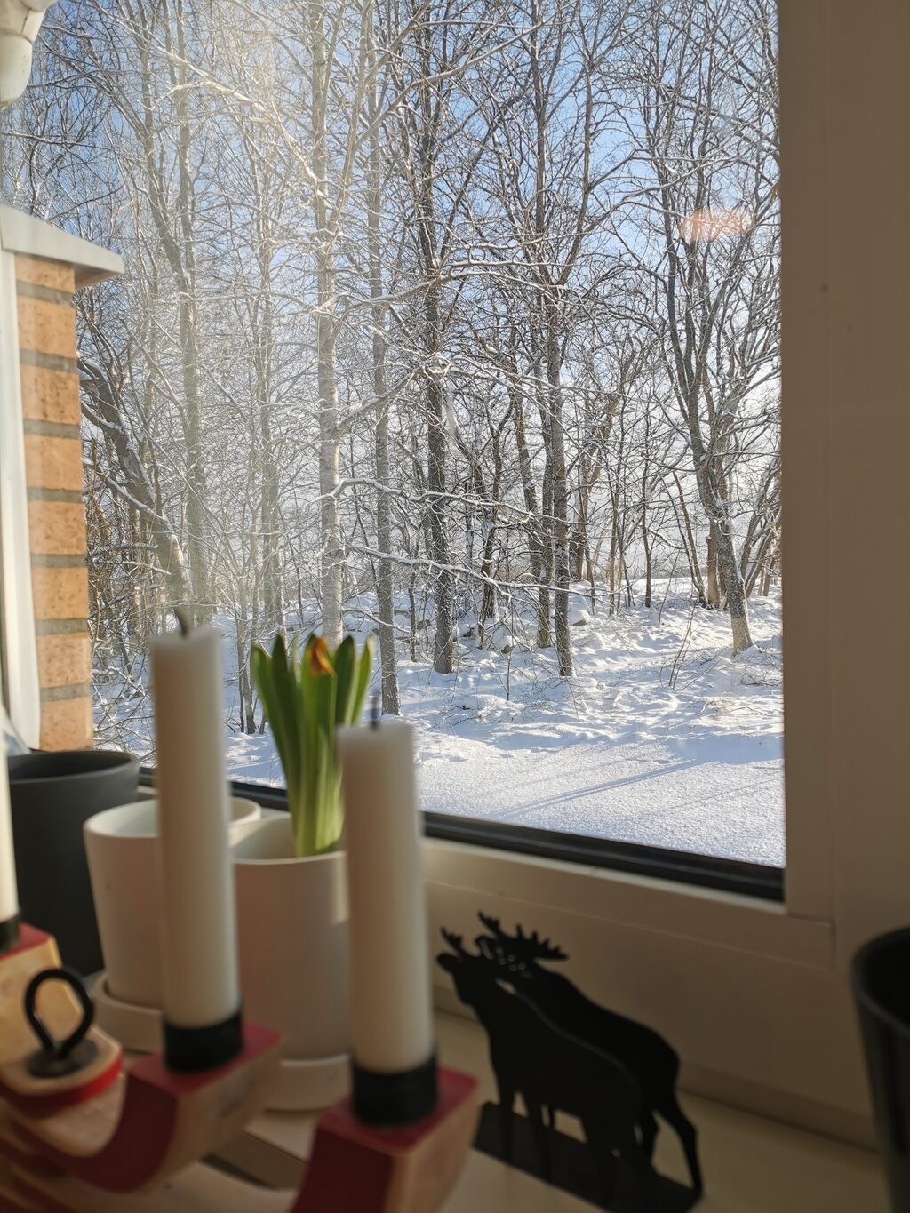 Lägenhetsbyte - Väderkvarnsbacken 115