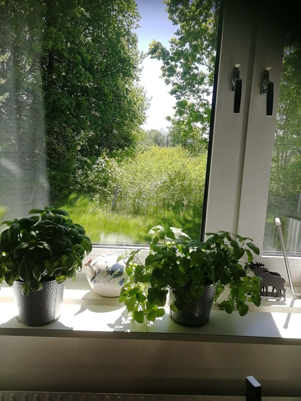 Lägenhetsbyte - Väderkvarnsbacken 115