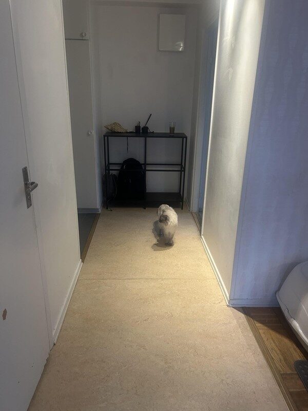 Lägenhetsbyte - Engelbrektsvägen 24B