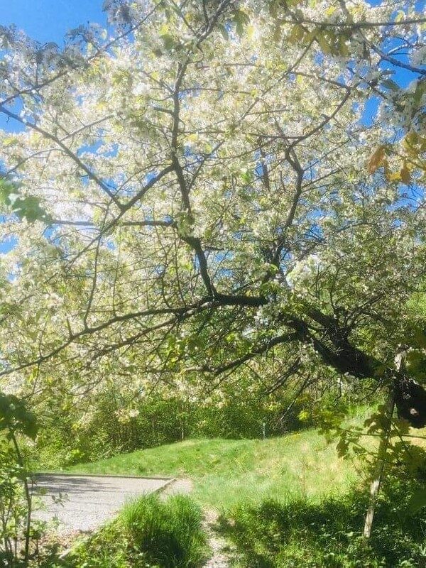 Lägenhetsbyte - Badstrandsvägen 14