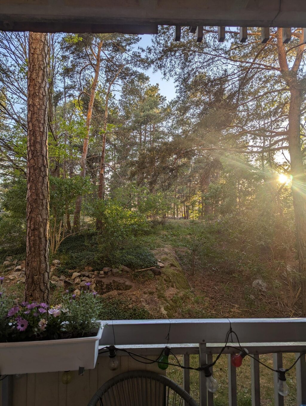 Lägenhetsbyte - Torsten Alms gata 80