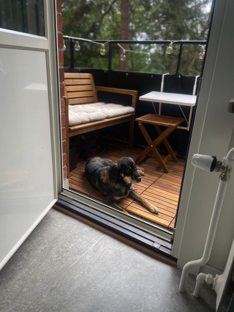 Lägenhetsbyte - Edestavägen 12