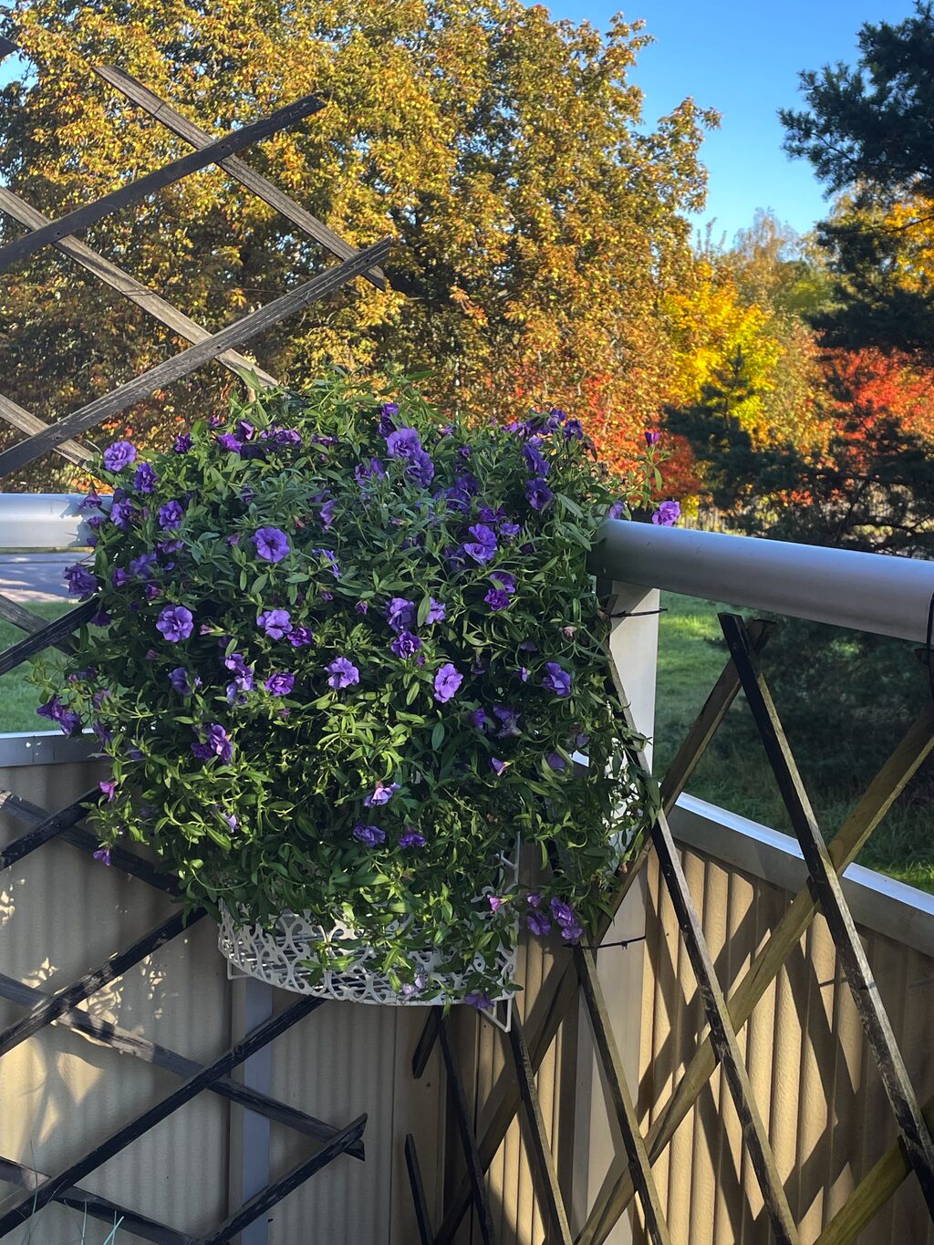 Lägenhetsbyte - Sagavägen 14