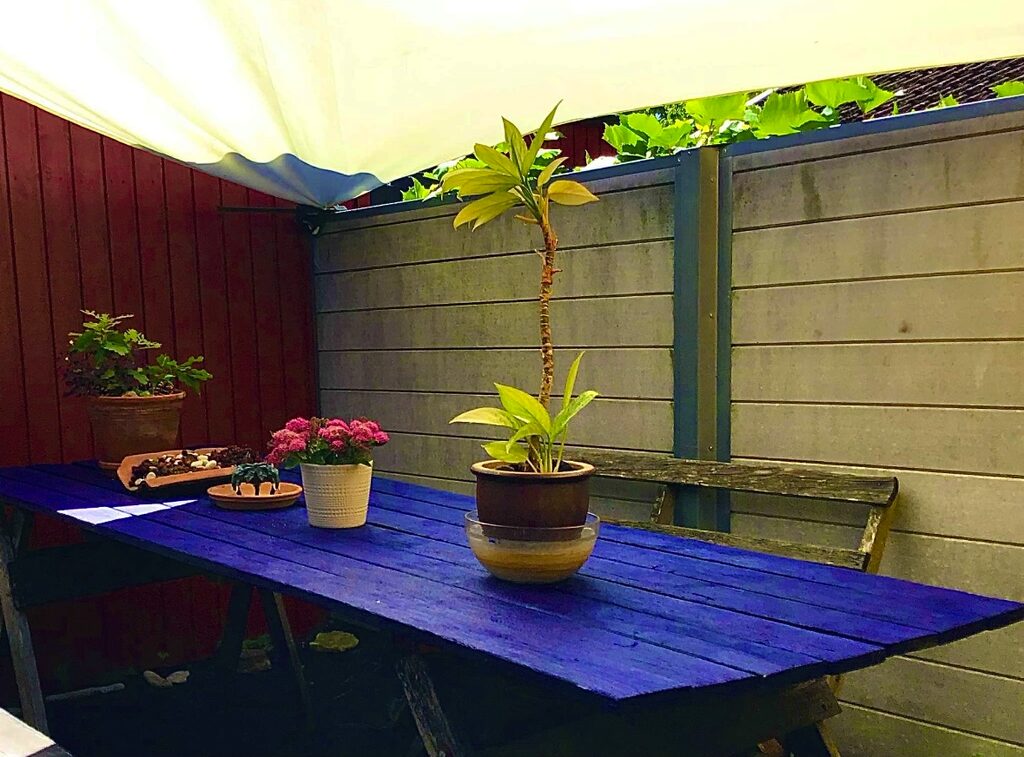 Lägenhetsbyte - Lillvägen 24