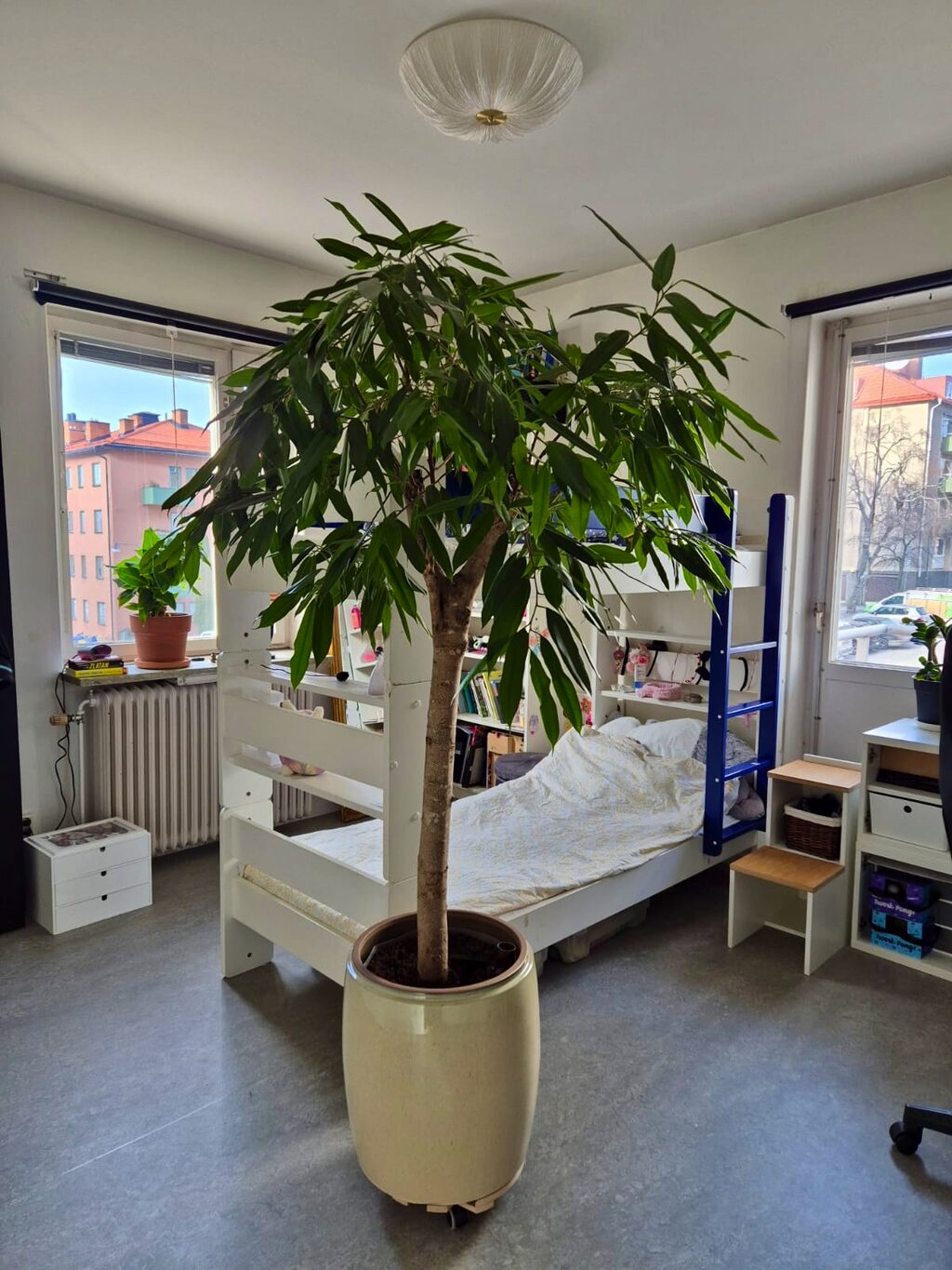 Lägenhetsbyte - Starrbäcksgatan 16B