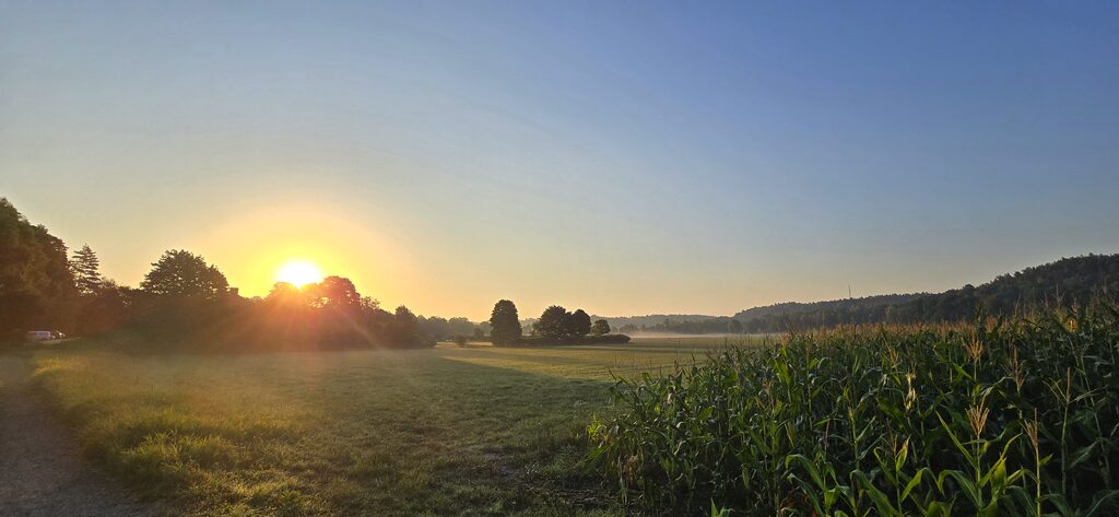 Lägenhetsbyte - Hamringevägen