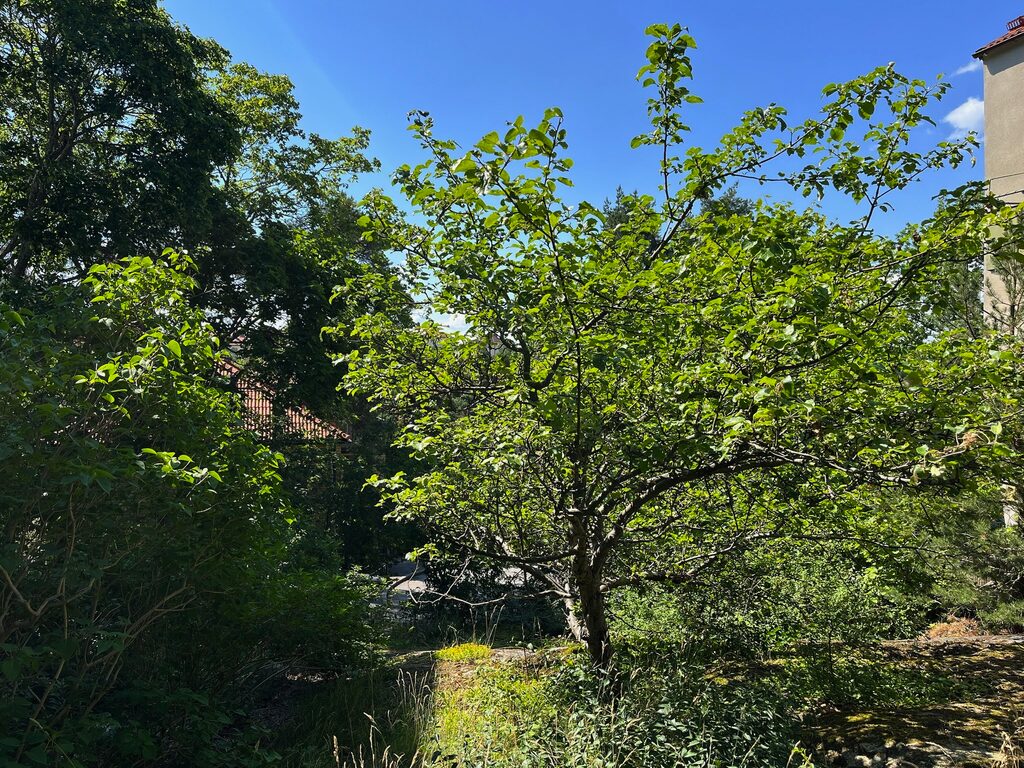 Lägenhetsbyte - Badstrandsvägen 14, 11265 Stockholm, Sweden