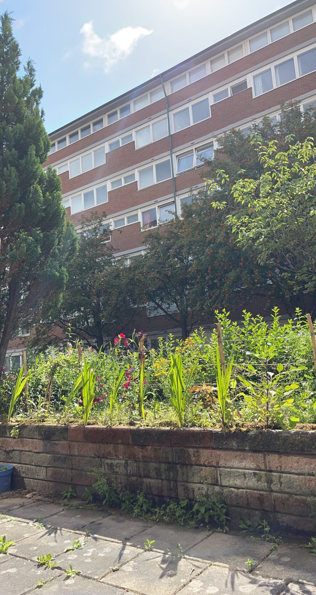 Lägenhetsbyte - Landalabergen 14