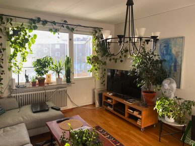 Ångermannagatan 205